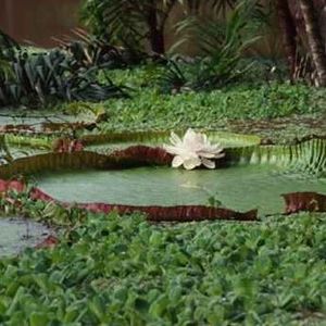 Meet your Posher, Helen